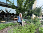 A woman stands in a garden watering the produce.